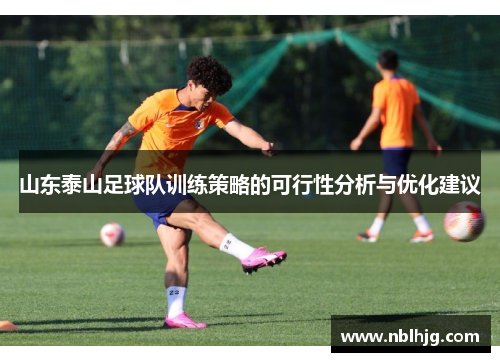 山东泰山足球队训练策略的可行性分析与优化建议