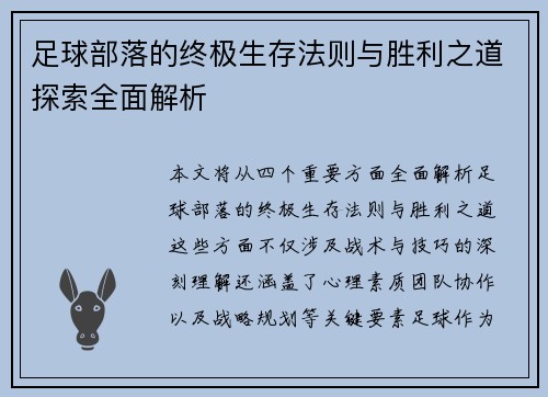 足球部落的终极生存法则与胜利之道探索全面解析